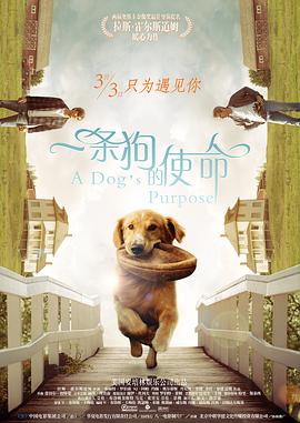 贝克在搬到达拉斯担任公司律师之前，曾在华盛顿特区一家律师事务所担任律师，还曾为一家大型体育特许经营公司工作过。
